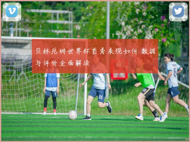 贝林厄姆世界杯首秀表现如何 数据与评价全面解读